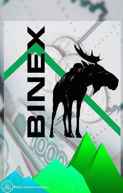 BINEX